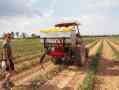 Spezia capofila nella fertilizzazione azotata in copertura a rateo variabile di mais e pomodoro da industria