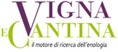 Vigna e cantina