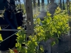 img-20251003-wa0011