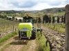 La spollonatrice chimica Tecnovict in azione