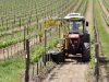 La spollonatrice chimica Tecnovict in azione