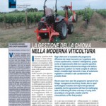 ico-gestione-chioma-moderna-viticoltura